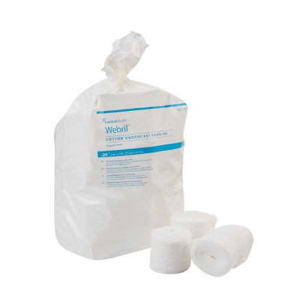 PADDING, CAST WEBRIL REG 2"X4YDS (24/BG)