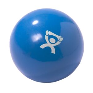 WEIGHT, BALL HND BLU 5.5LB D/S