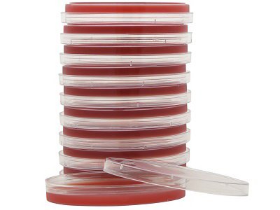 PLATE, BLOOD AGAR 5% (10/BX)