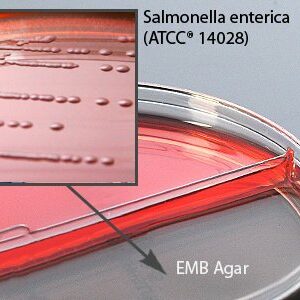 PLATES AGAR EMB 5% SHEEP BLOOD(10/BX)