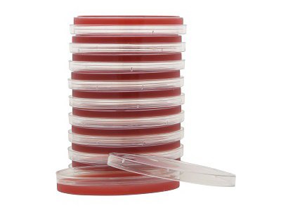 PLATES, STREP SELECT (10/BX)