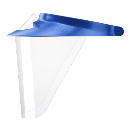 KIT, 1 VISOR 2 SHIELDS, RBLU LG