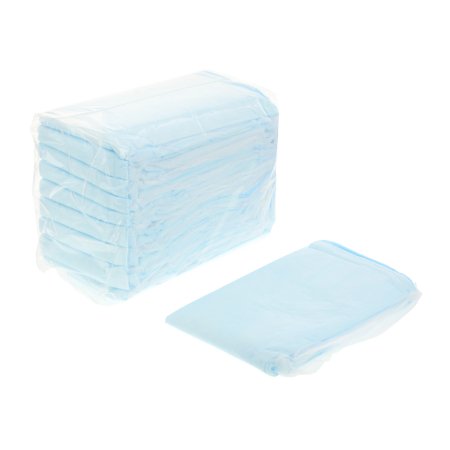 UNDERPAD, TENDERSORB 23X36" (10/BG 12BG/CS) KENICO