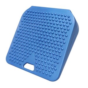 WEDGE, PTNT CUSHION CANDO INFLATABLE CHLD 10"X10"