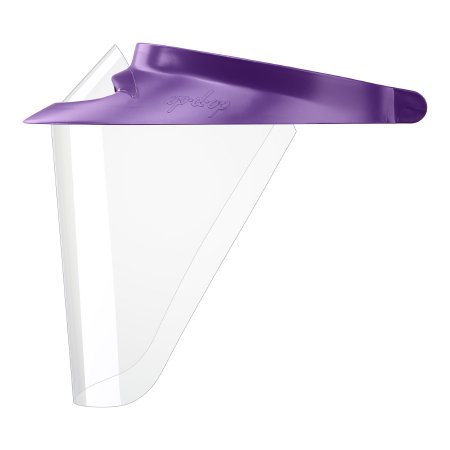 FACE SHIELD KIT, W/1VISOR 2SHLD PUR MED