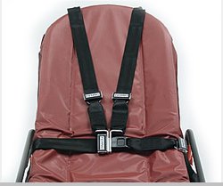 RESTRAINT SYSTEM, 417-1 MODEL BLK (1/EA)