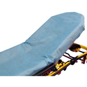 SHEET 33X89 STRETCHER BLU     5/BG 10BG/CS 250LB CAP